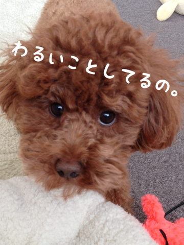 iphone/image-20130129100816.png