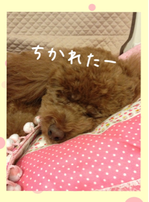 iphone/image-20130813212129.png